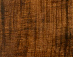 American Walnut