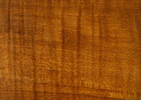 Lancaster Maple